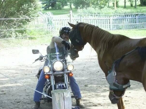 Jack horsing around with Tara and Dottie. Iron horse meets real horse!